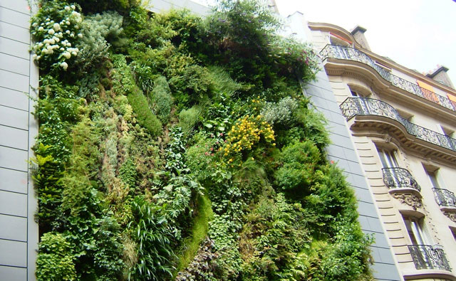 découvrez l'art du jardin vertical, une solution innovante pour transformer vos espaces en refuges verdoyants. apprenez à cultiver vos plantes de manière créative tout en optimisant l'espace, que ce soit dans votre jardin, sur un balcon ou à l'intérieur de votre maison.